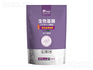 促花坐果基酶500g-云臺大化