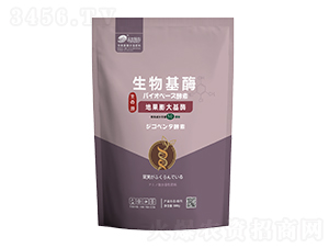 地果膨大基酶500g-云臺大化