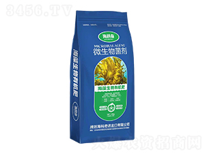 ���������ЙC(j��)��-������