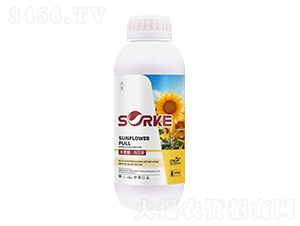 ľ�|�ᡤ���տ�-ʩ�ֿ�