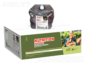 ľ�|�ᡤ��ˎ�Ĺ��ܷ�-ʩ�ֿ�