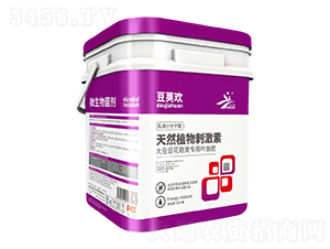 ���v�g΢�������-�����r�I