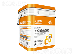 ��ʮ����΢�������-�����r�I