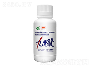 �Ŷ��l-�����r�I