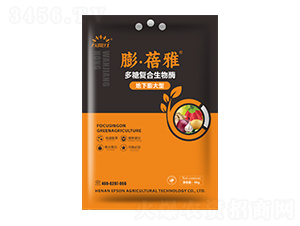 ��������Ͷ��Ǐ�(f��)������ø-������-�f���t-������