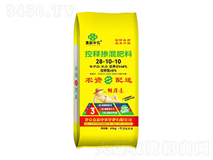 ��ጓ������28-10-10-�������r