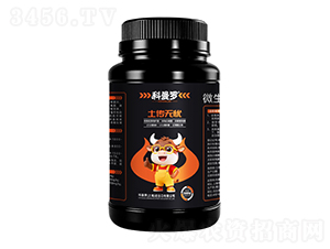 �����o�n-�����_