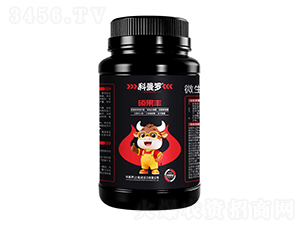 �T���S-�����_