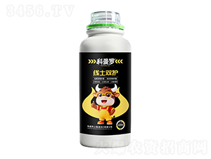 �����p�o-�����_