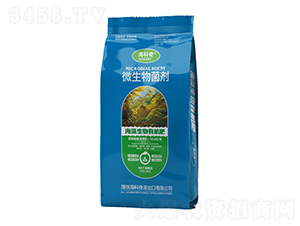 ���������ЙC��-������